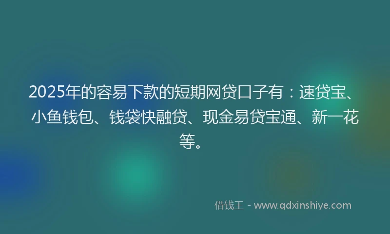 2025年的容易下款的短期网贷口子有：速贷宝、小鱼钱包、钱袋快融贷、现金易贷宝通、新一花等。