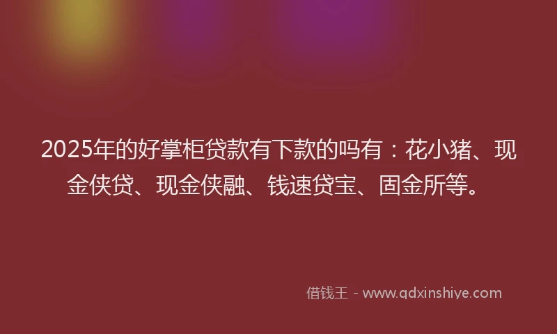 2025年的好掌柜贷款有下款的吗有：花小猪、现金侠贷、现金侠融、钱速贷宝、固金所等。