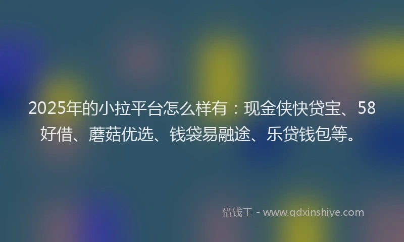 2025年的小拉平台怎么样有：现金侠快贷宝、58好借、蘑菇优选、钱袋易融途、乐贷钱包等。