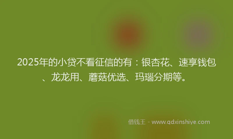 2025年的小贷不看征信的有：银杏花、速享钱包、龙龙用、蘑菇优选、玛瑙分期等。