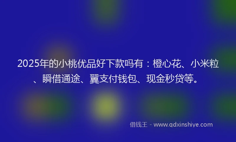 2025年的小桃优品好下款吗有:橙心花、小米粒、瞬借通途、翼支付钱包、现金秒贷等。