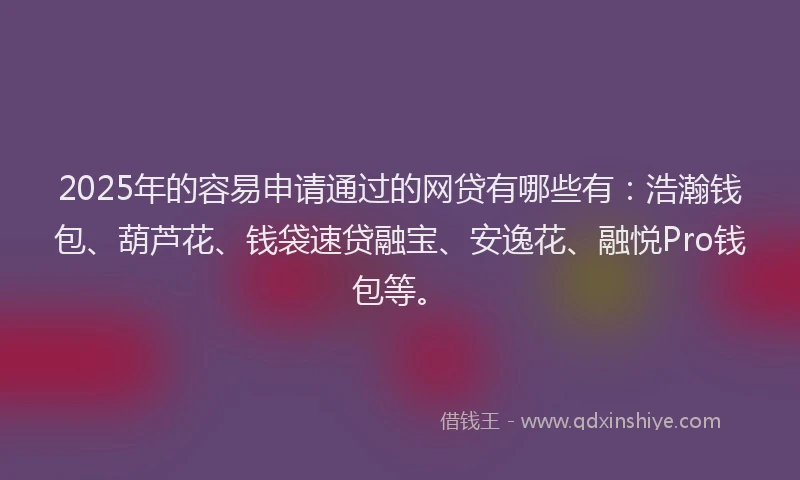 2025年的容易申请通过的网贷有哪些有：浩瀚钱包、葫芦花、钱袋速贷融宝、安逸花、融悦Pro钱包等。