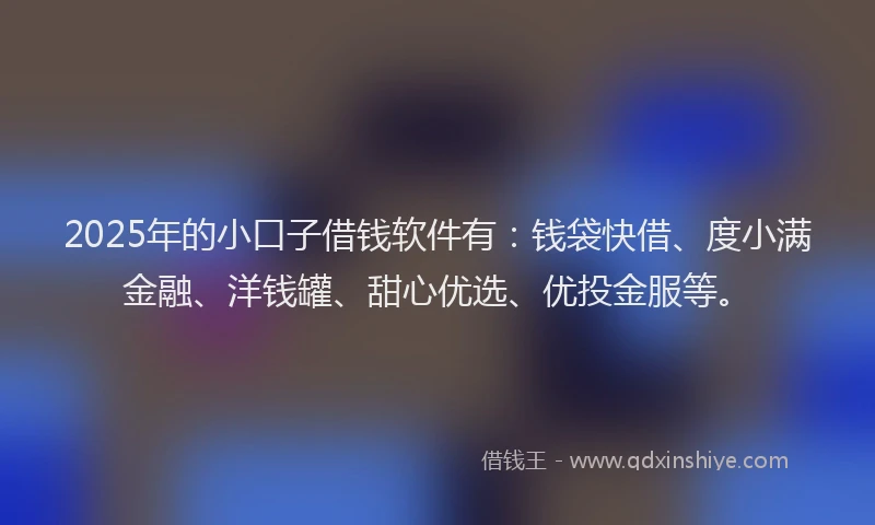 2025年的小口子借钱软件有：钱袋快借、度小满金融、洋钱罐、甜心优选、优投金服等。