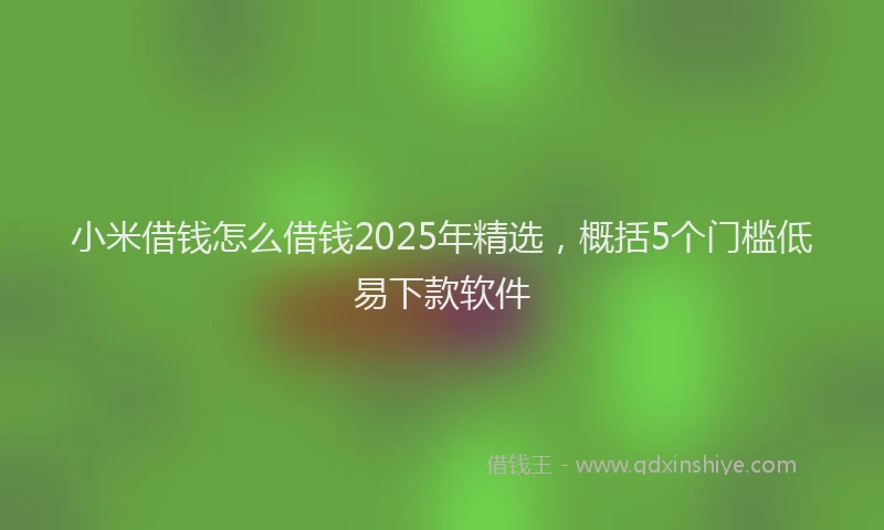 小米借钱怎么借钱2025年精选，概括5个门槛低易下款软件