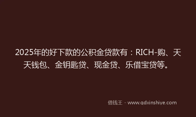 2025年的好下款的公积金贷款有：RICH-购、天天钱包、金钥匙贷、现金贷、乐借宝贷等。