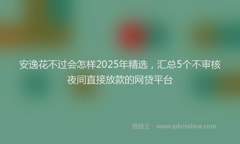 安逸花不过会怎样2025年精选，汇总5个不审核夜间直接放款的网贷平台