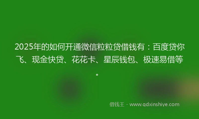 2025年的如何开通微信粒粒贷借钱有：百度贷你飞、现金快贷、花花卡、星辰钱包、极速易借等。