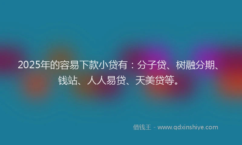 2025年的容易下款小贷有：分子贷、树融分期、钱站、人人易贷、天美贷等。