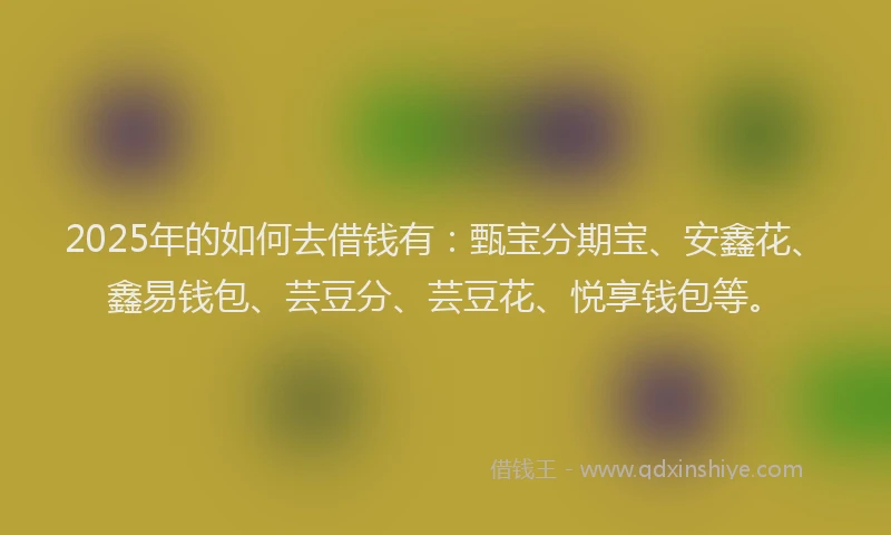 2025年的如何去借钱有：甄宝分期宝、安鑫花、鑫易钱包、芸豆分、芸豆花、悦享钱包等。