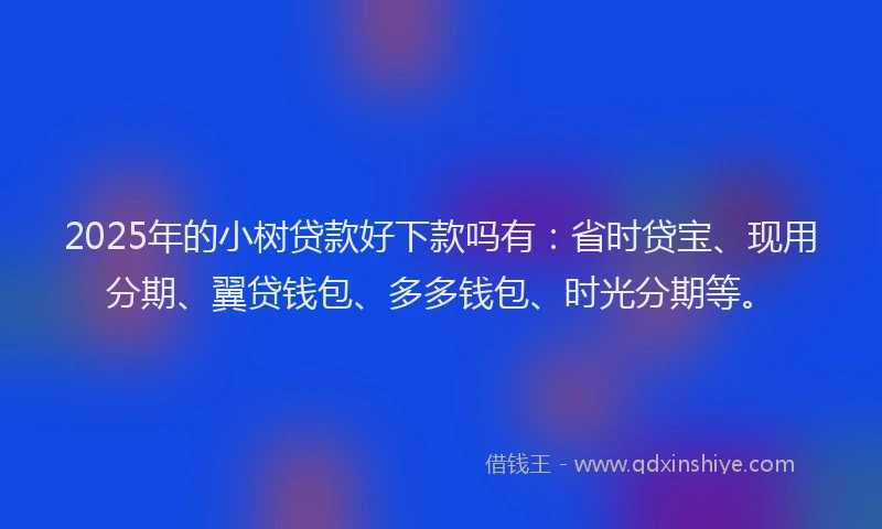 2025年的小树贷款好下款吗有：省时贷宝、现用分期、翼贷钱包、多多钱包、时光分期等。