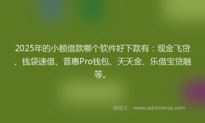 2025年的小额借款哪个软件好下款有：现金飞贷、钱袋速借、普惠Pro钱包、天天金、乐借宝贷融等。
