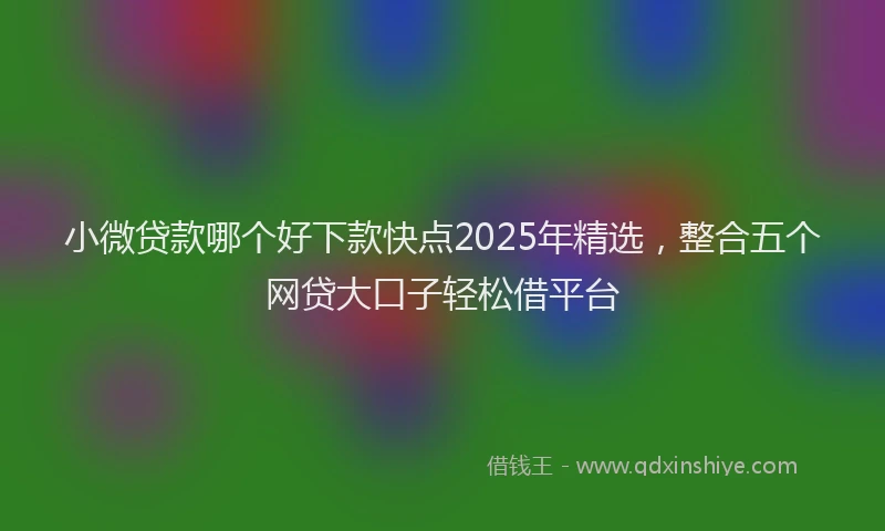 小微贷款哪个好下款快点2025年精选，整合五个网贷大口子轻松借平台