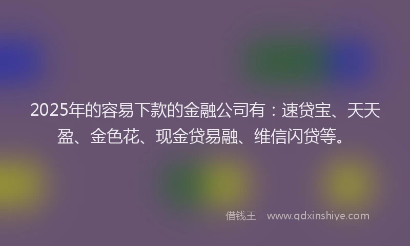 2025年的容易下款的金融公司有：速贷宝、天天盈、金色花、现金贷易融、维信闪贷等。