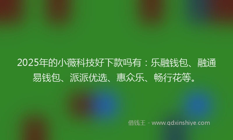 2025年的小薇科技好下款吗有：乐融钱包、融通易钱包、派派优选、惠众乐、畅行花等。