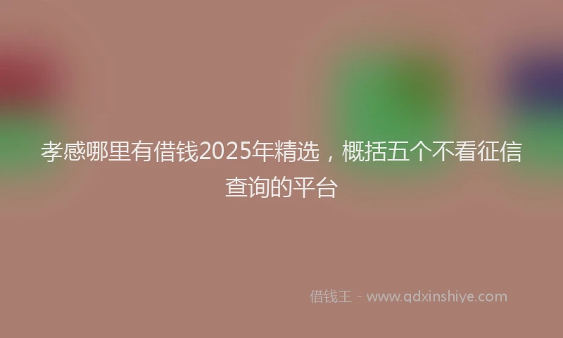 孝感哪里有借钱2025年精选，概括五个不看征信查询的平台