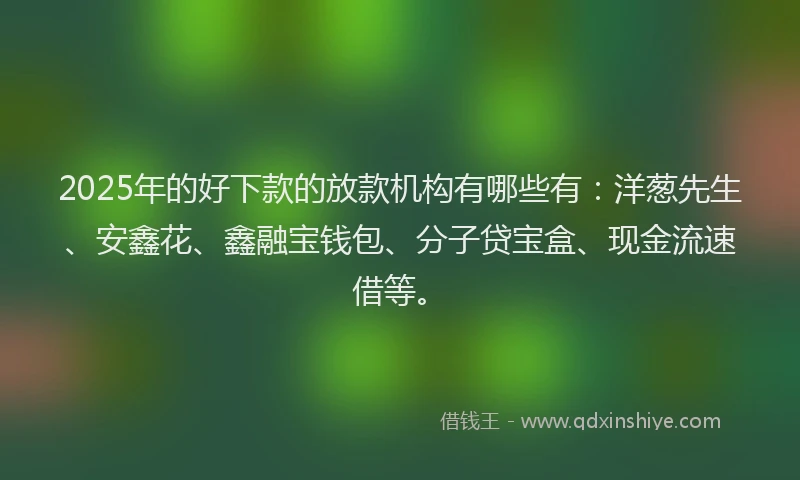 2025年的好下款的放款机构有哪些有：洋葱先生、安鑫花、鑫融宝钱包、分子贷宝盒、现金流速借等。