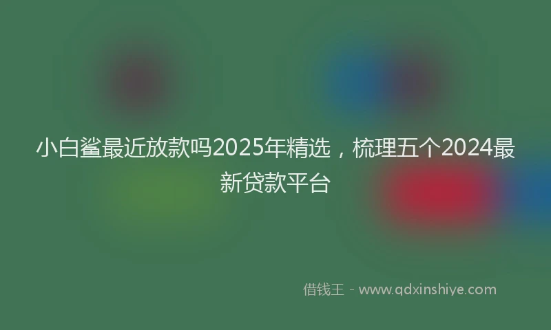 小白鲨最近放款吗2025年精选，梳理五个2024最新贷款平台