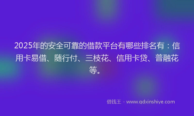 2025年的安全可靠的借款平台有哪些排名有：信用卡易借、随行付、三枝花、信用卡贷、普融花等。