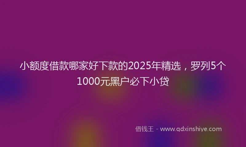 小额度借款哪家好下款的2025年精选，罗列5个1000元黑户必下小贷