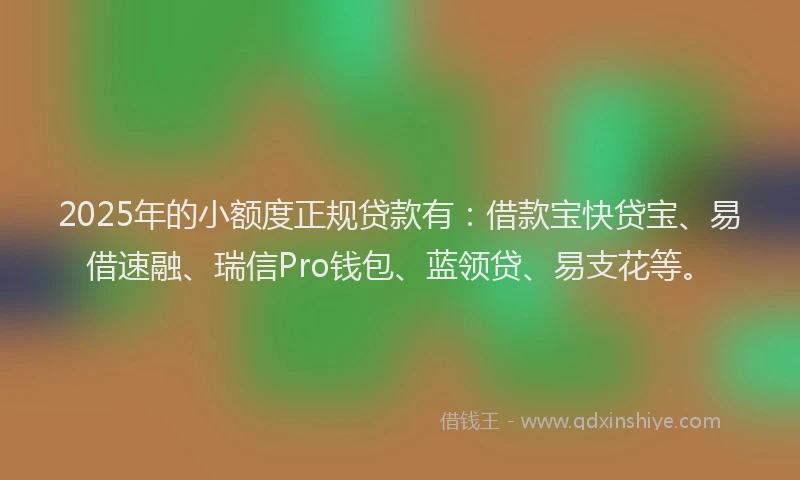 2025年的小额度正规贷款有：借款宝快贷宝、易借速融、瑞信Pro钱包、蓝领贷、易支花等。