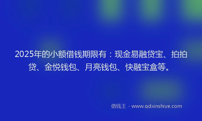2025年的小额借钱期限有：现金易融贷宝、拍拍贷、金悦钱包、月亮钱包、快融宝盒等。