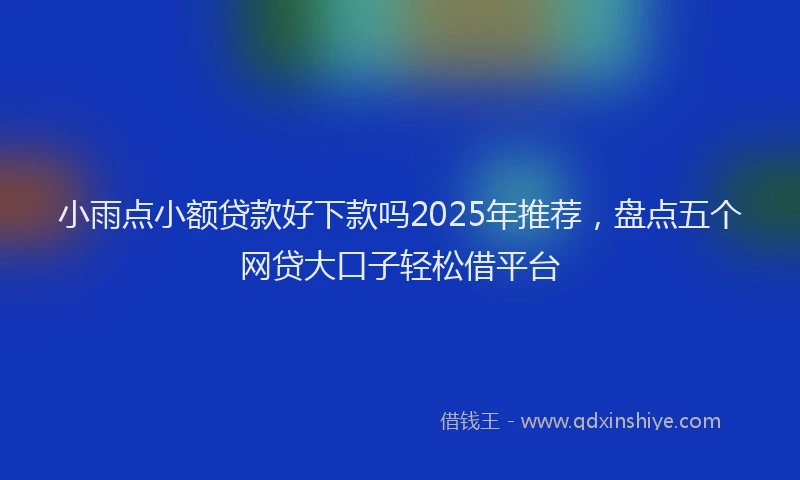 小雨点小额贷款好下款吗2025年推荐，盘点五个网贷大口子轻松借平台