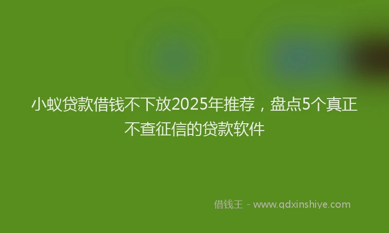 小蚁贷款借钱不下放2025年推荐，盘点5个真正不查征信的贷款软件