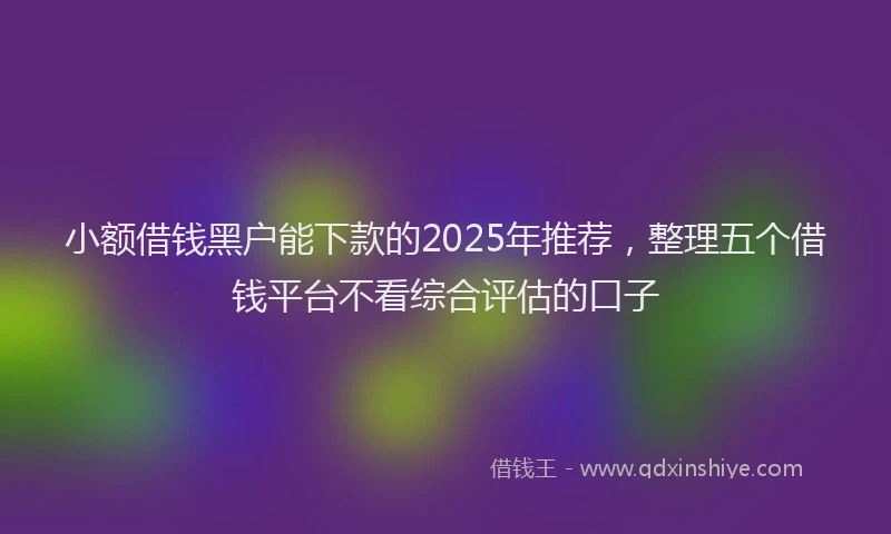 小额借钱黑户能下款的2025年推荐，整理五个借钱平台不看综合评估的口子