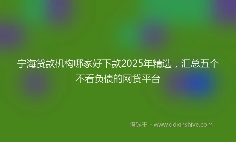 宁海贷款机构哪家好下款2025年精选，汇总五个不看负债的网贷平台