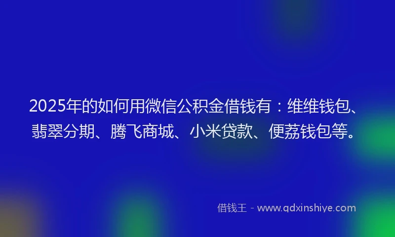 2025年的如何用微信公积金借钱有：维维钱包、翡翠分期、腾飞商城、小米贷款、便荔钱包等。