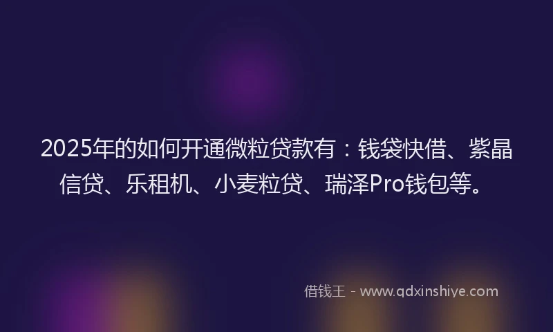 2025年的如何开通微粒贷款有：钱袋快借、紫晶信贷、乐租机、小麦粒贷、瑞泽Pro钱包等。