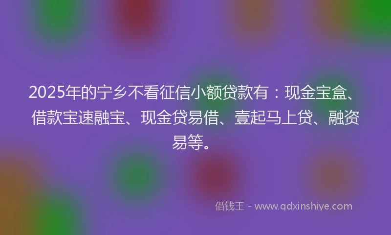 2025年的宁乡不看征信小额贷款有：现金宝盒、借款宝速融宝、现金贷易借、壹起马上贷、融资易等。