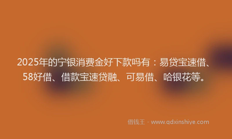 2025年的宁银消费金好下款吗有：易贷宝速借、58好借、借款宝速贷融、可易借、哈银花等。