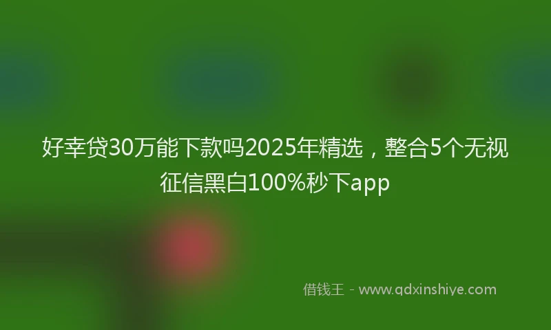 好幸贷30万能下款吗2025年精选，整合5个无视征信黑白100%秒下app