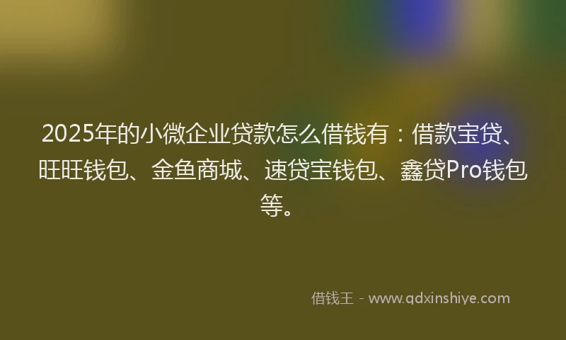 2025年的小微企业贷款怎么借钱有：借款宝贷、旺旺钱包、金鱼商城、速贷宝钱包、鑫贷Pro钱包等。