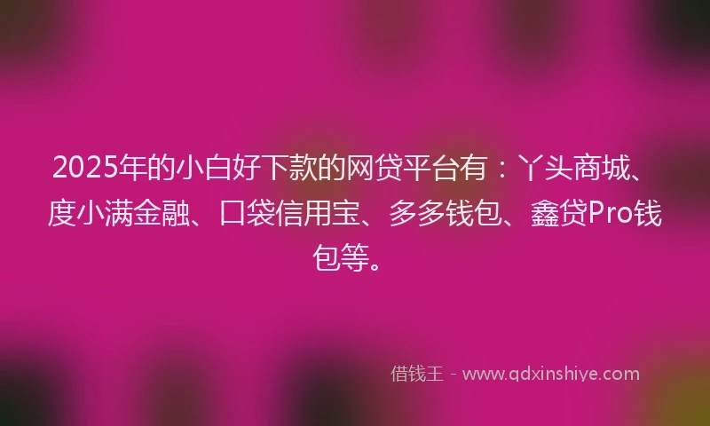 2025年的小白好下款的网贷平台有：丫头商城、度小满金融、口袋信用宝、多多钱包、鑫贷Pro钱包等。