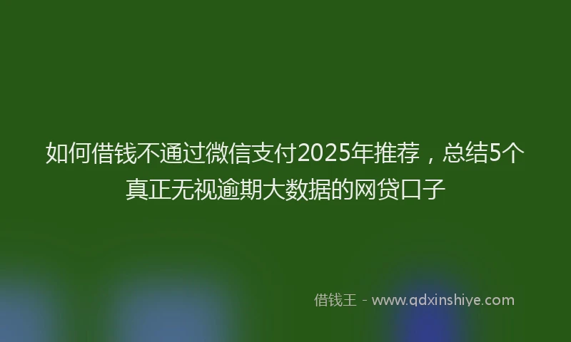 如何借钱不通过微信支付2025年推荐，总结5个真正无视逾期大数据的网贷口子