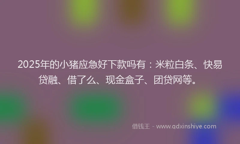 2025年的小猪应急好下款吗有：米粒白条、快易贷融、借了么、现金盒子、团贷网等。
