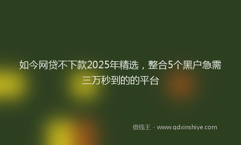如今网贷不下款2025年精选，整合5个黑户急需三万秒到的的平台