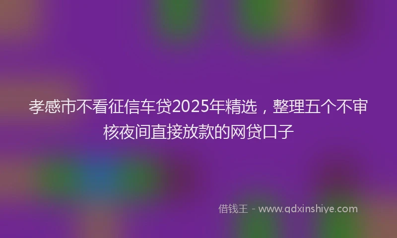 孝感市不看征信车贷2025年精选，整理五个不审核夜间直接放款的网贷口子