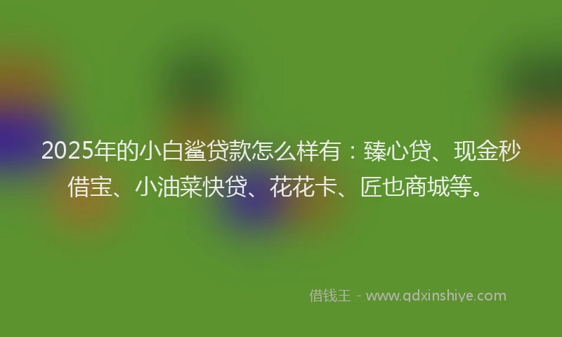 2025年的小白鲨贷款怎么样有：臻心贷、现金秒借宝、小油菜快贷、花花卡、匠也商城等。