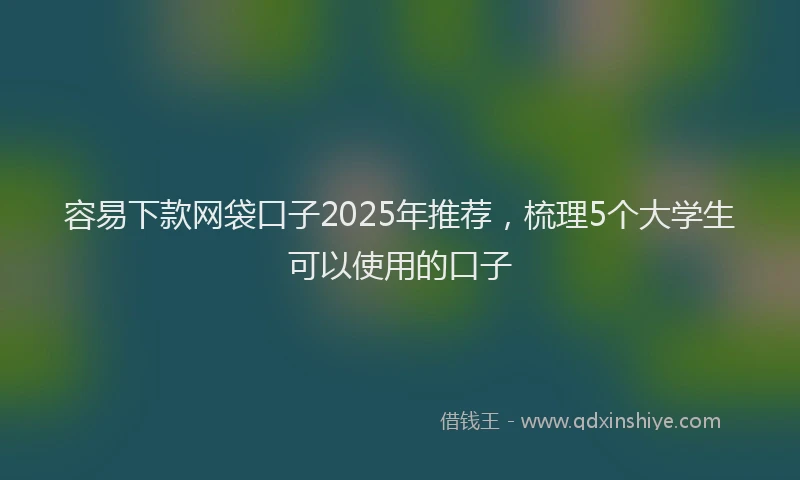 容易下款网袋口子2025年推荐，梳理5个大学生可以使用的口子