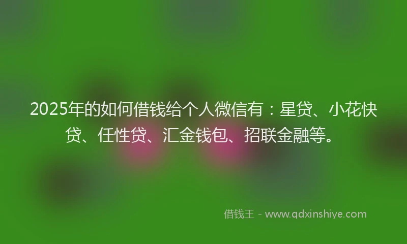 2025年的如何借钱给个人微信有：星贷、小花快贷、任性贷、汇金钱包、招联金融等。