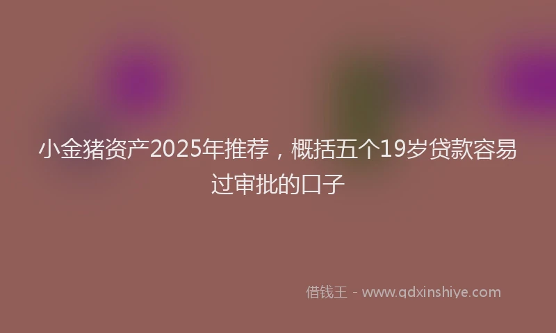 小金猪资产2025年推荐，概括五个19岁贷款容易过审批的口子