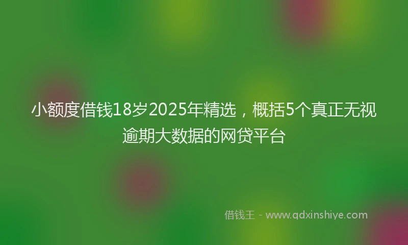 小额度借钱18岁2025年精选，概括5个真正无视逾期大数据的网贷平台