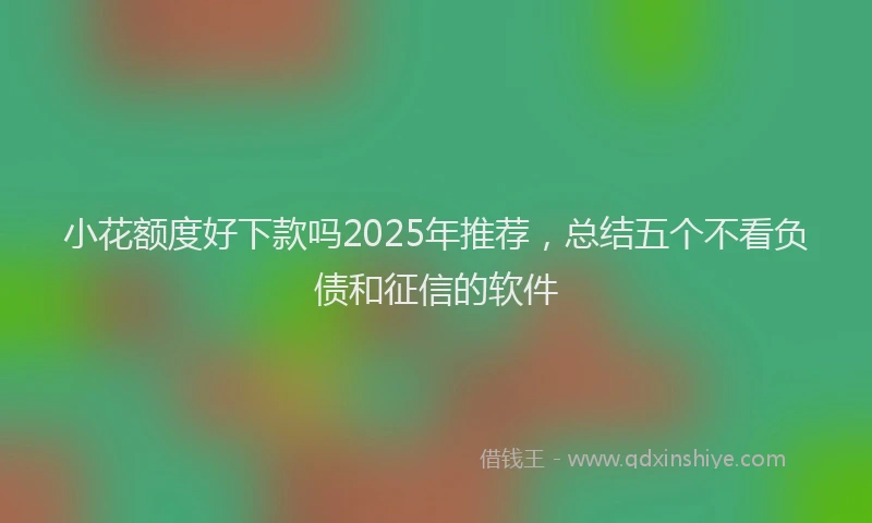小花额度好下款吗2025年推荐，总结五个不看负债和征信的软件