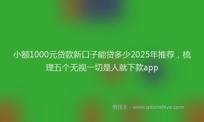 小额1000元贷款新口子能贷多少2025年推荐，梳理五个无视一切是人就下款app