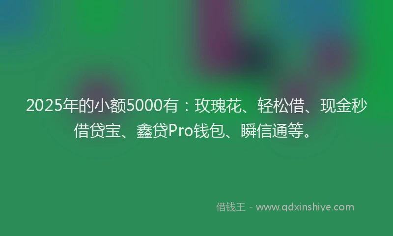 2025年的小额5000有：玫瑰花、轻松借、现金秒借贷宝、鑫贷Pro钱包、瞬信通等。