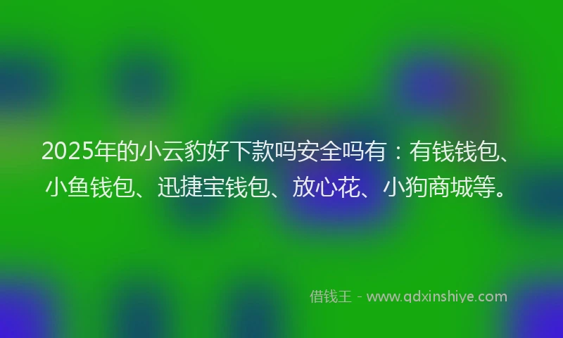 2025年的小云豹好下款吗安全吗有：有钱钱包、小鱼钱包、迅捷宝钱包、放心花、小狗商城等。