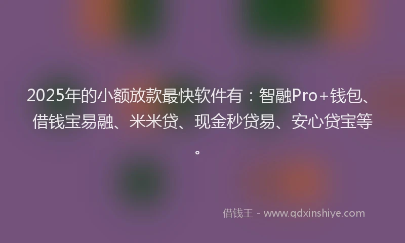 2025年的小额放款最快软件有：智融Pro+钱包、借钱宝易融、米米贷、现金秒贷易、安心贷宝等。